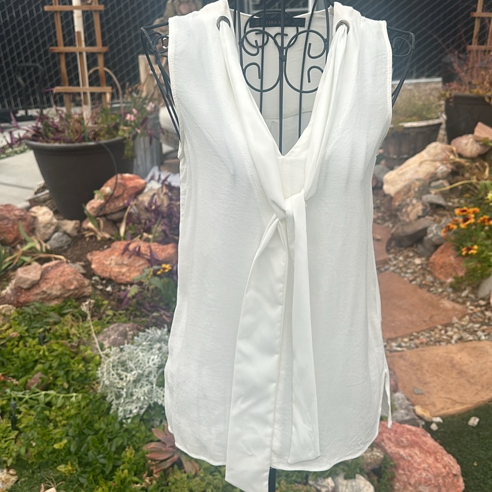 On Hold...Zara dressy V neck top.